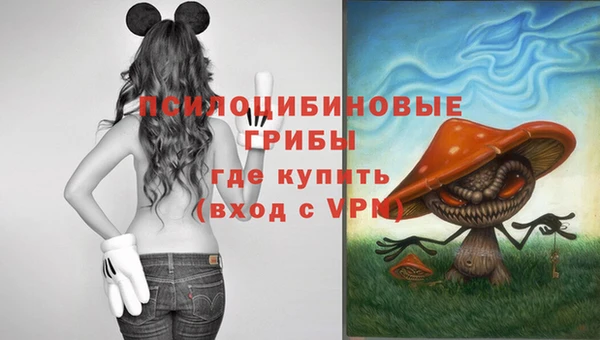 каннабис Богданович